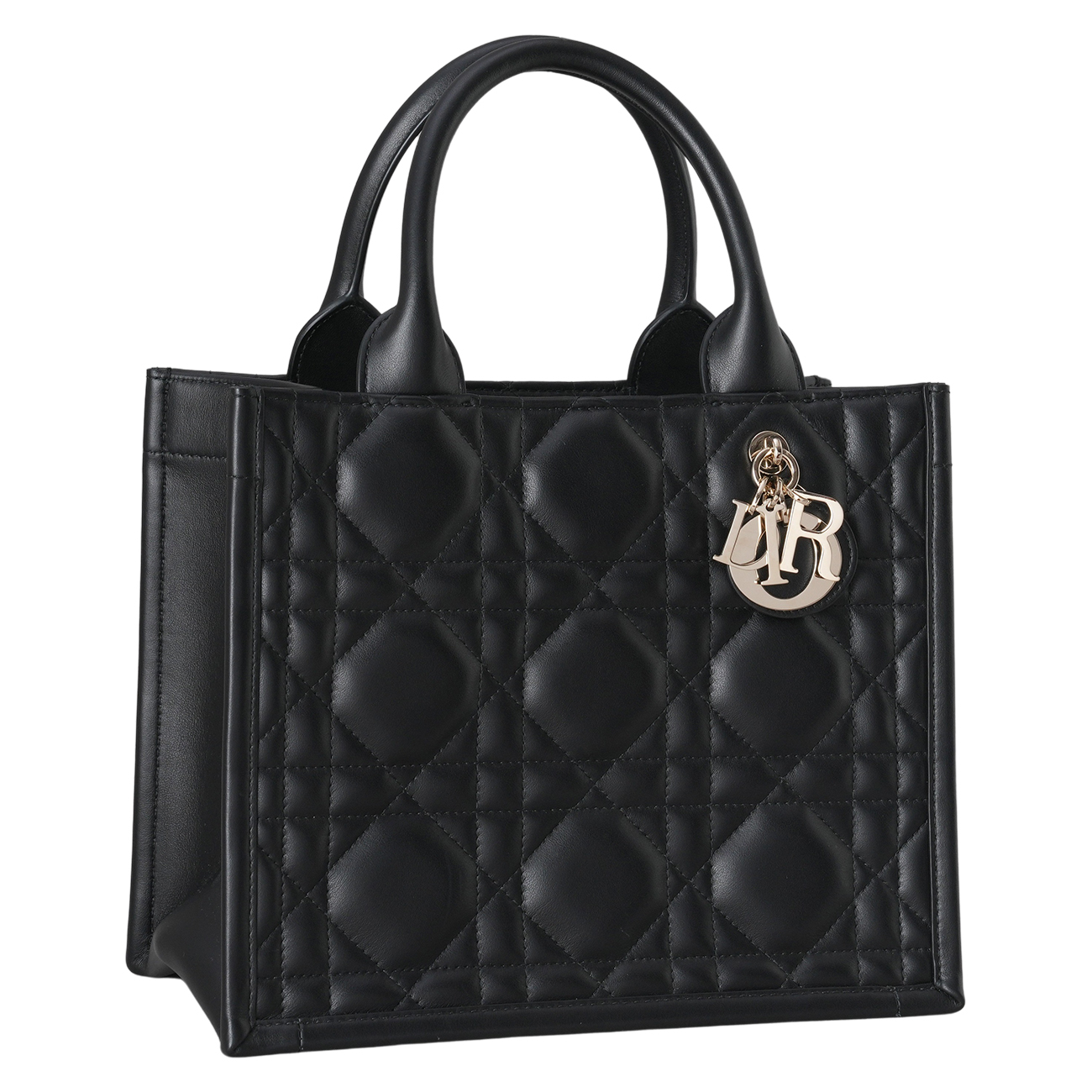 CHRISTIAN DIOR(USED)디올 북토트 스몰 매크로 까나쥬